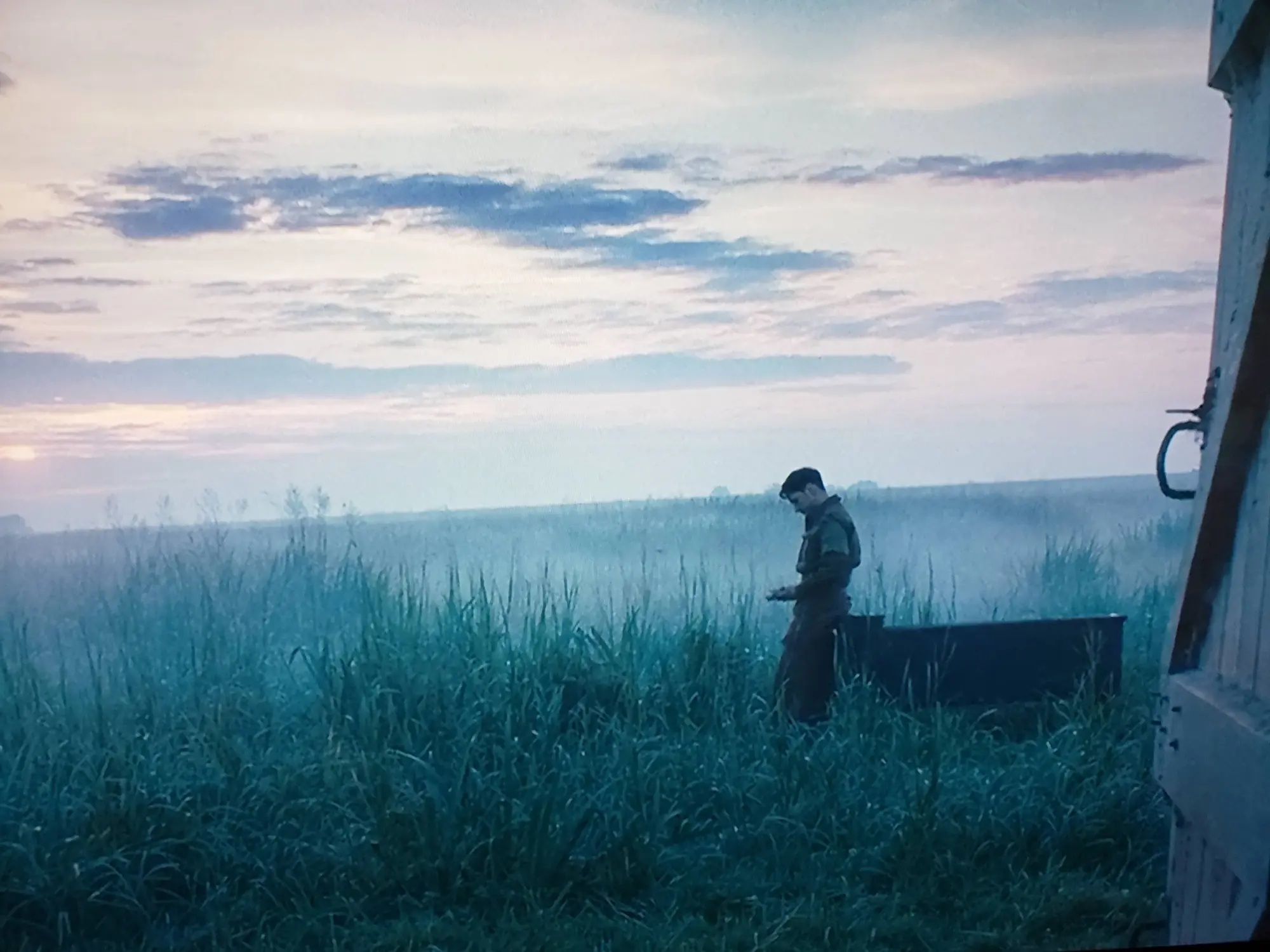A cinematic, wide shot captures a lone soldier standing in a vast, overgrown field enveloped in low-lying fog under a pale, cloudy sky. The lighting suggests early dawn or late dusk, casting a cool, blue and muted green tone over the entire landscape. The soldier, dressed in a dark military uniform and a beret, stands on the right side of the frame, facing slightly left with his head bowed down toward his hands. Behind him, a low, dark structure or vehicle part rests in the tall grass. The foreground and middle ground are dominated by thick, wild reeds and grasses that fade into a hazy, misty horizon. On the far right edge of the frame, the wooden frame and handle of an open door or structure are partially visible, creating a sense of looking out from the inside.